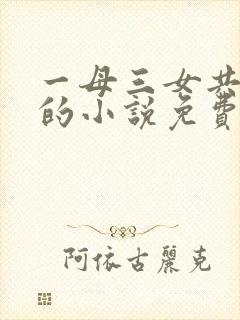 一母三女共一婿的小说免费阅读