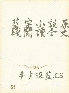 蓝宇小说原著在线阅读全文