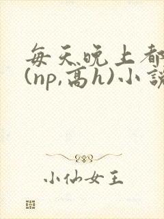 每天晚上都被插(np,高h)小说