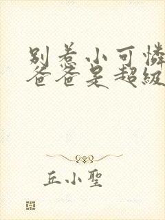 别惹小可怜,她爸爸是超级女儿奴短剧