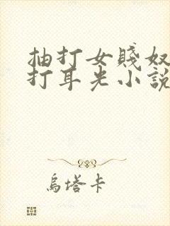 抽打女贱奴双乳打耳光小说