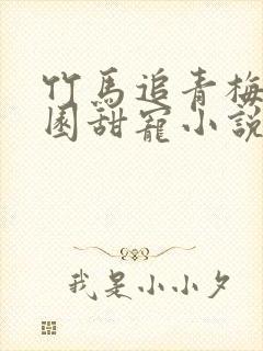 竹马追青梅的校园甜宠小说