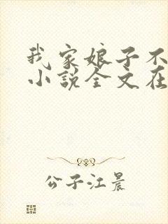 我家娘子不对劲小说全文在线阅读封面