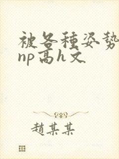 被各种姿势玩弄np高h文