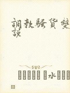 调教骚货双性小说封面