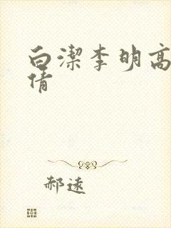 白洁李明高义孙倩封面