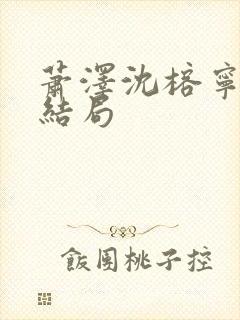 萧泽沈榕宁番外结局