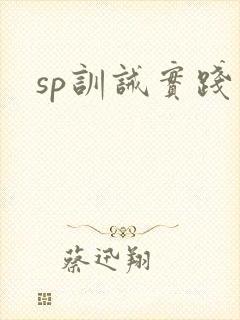 sp训诫实践文封面