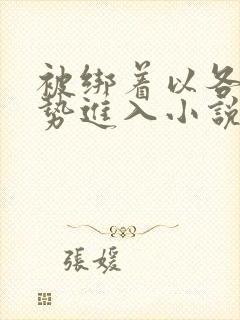 被绑着以各种姿势进入小说