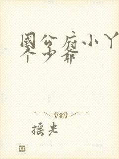 国公府小丫鬟四个少爷