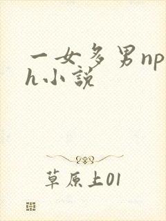 一女多男np高h小说