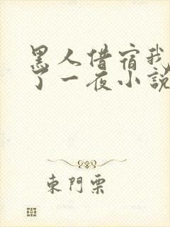 黑人借宿我被躁了一夜小说