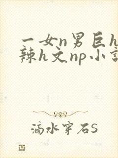 一女n男巨h高辣h文np小说封面