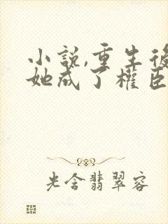 小说,重生后,她成了权臣黑月光