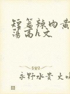 短篇辣肉黄辣放荡高h文封面