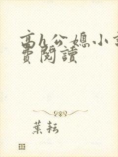 高h公媳小说免费阅读