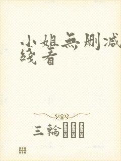 小姐无删减版在线看