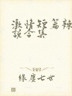 激情短篇辣文小说合集