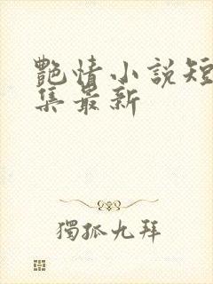 艳情小说短篇合集最新