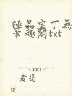 极品家丁无删节笔趣阁txt