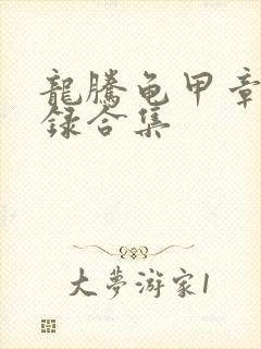 龙腾龟甲章节目录合集封面