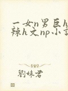 一女n男巨h高辣h文np小说