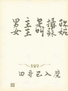 男主是摄政王,女主叫苏婉的小说