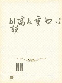 bl高h重口小说