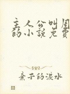 主人公叫周轻羽的小说免费阅读