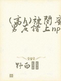 (高h)被闺蜜男友错上np全文