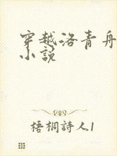 穿越洛青舟主角小说