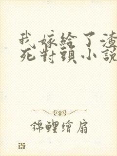 我嫁给了渣男的死对头小说免费阅读