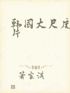 韩国大尺度情色片