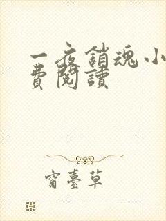 一夜销魂小说免费阅读