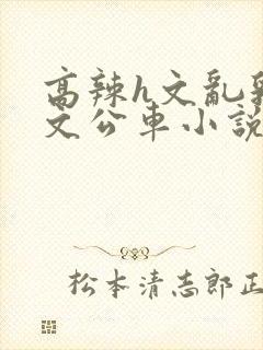 高辣h文乱乳h文公车小说