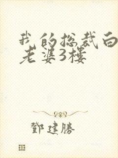 我的总裁白富美老婆3楼封面