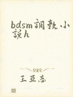 bdsm调教小说h封面
