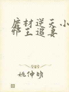 废材逆天小姐之邪王追妻