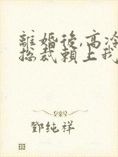 离婚后,高冷女总裁赖上我全本