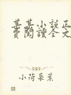 某某小说正版免费阅读全文无弹窗