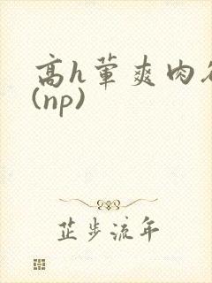 高h荤爽肉欲文(np)