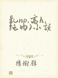 乱np,高h,纯肉)小说