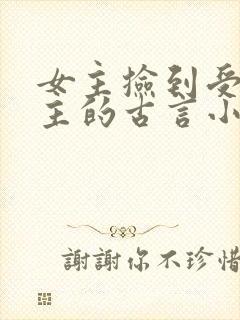 女主捡到受伤男主的古言小说推荐封面