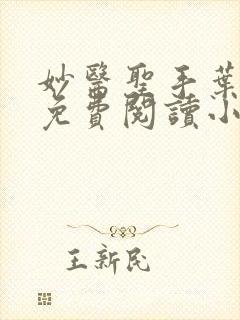 妙医圣手叶皓轩免费阅读小说封面