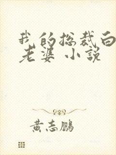 我的总裁白富美老婆 小说