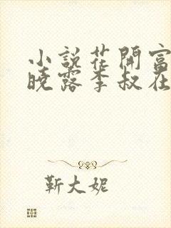 小说花开富贵赵晓露李叔在线阅读全文封面