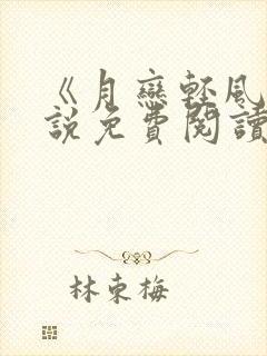 《月恋轻风》小说免费阅读