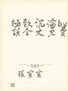 极致沉沦by小说全文免费阅读