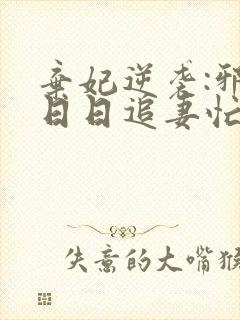 弃妃逆袭:邪王日日追妻忙完整小说