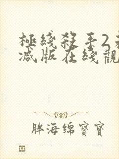 极线杀手2未删减版在线观看